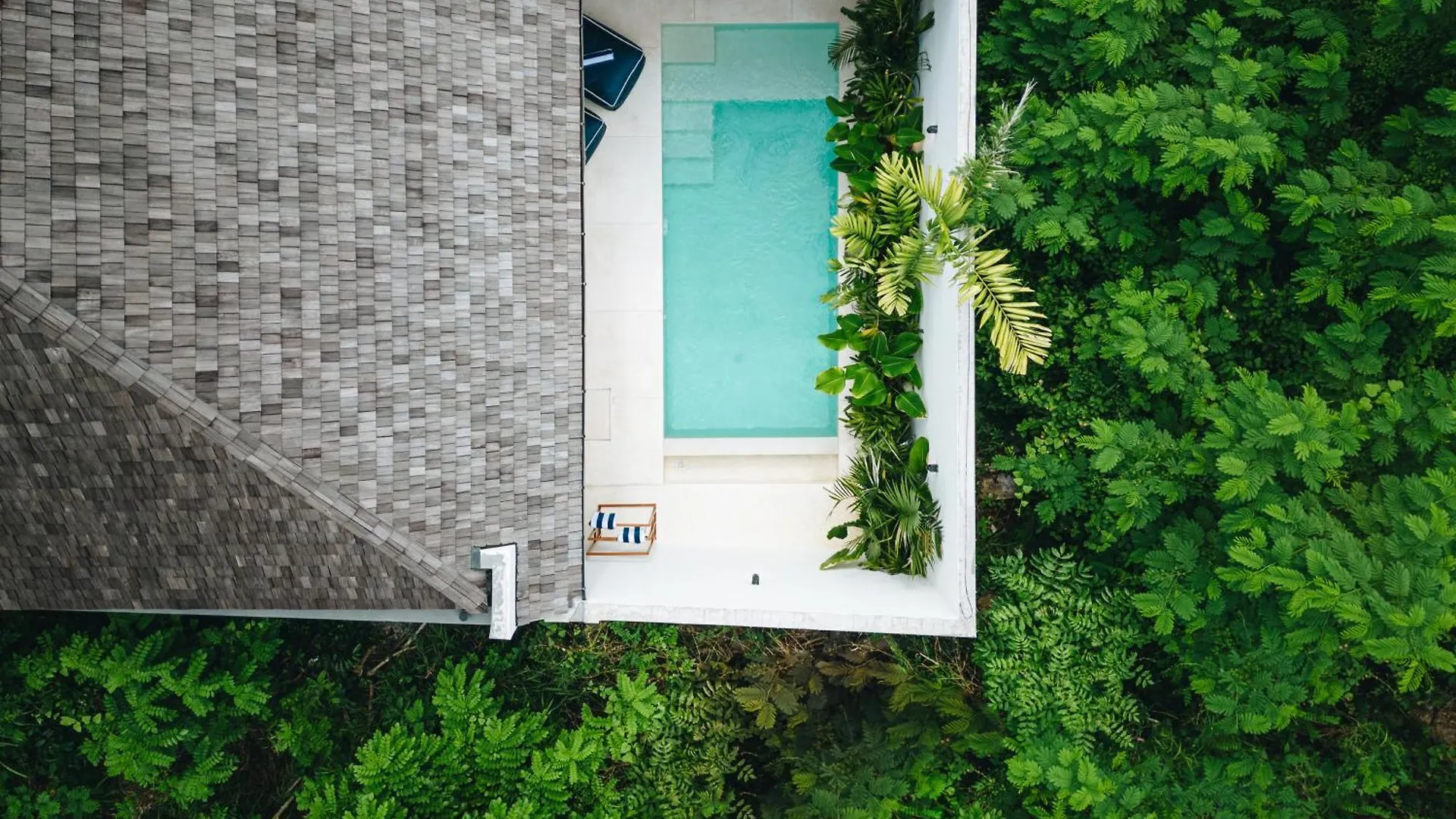 Ride To Bingin Beach, Gooseberry, Cashew Tree, 1Br Pool Villa Bingin, Pecatu